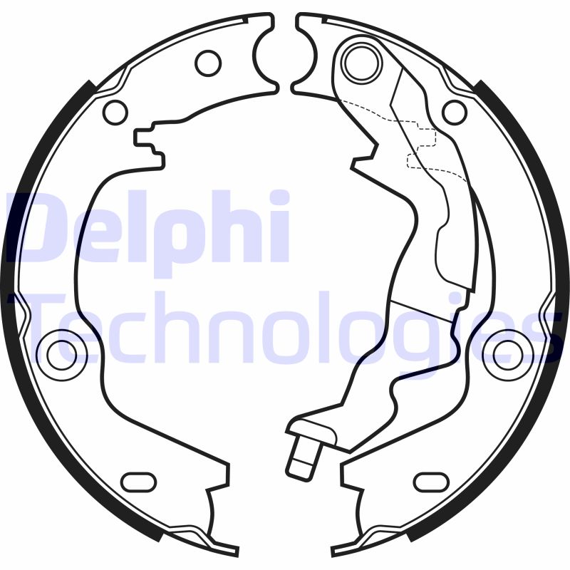 Delphi Diesel Remschoen set LS2161