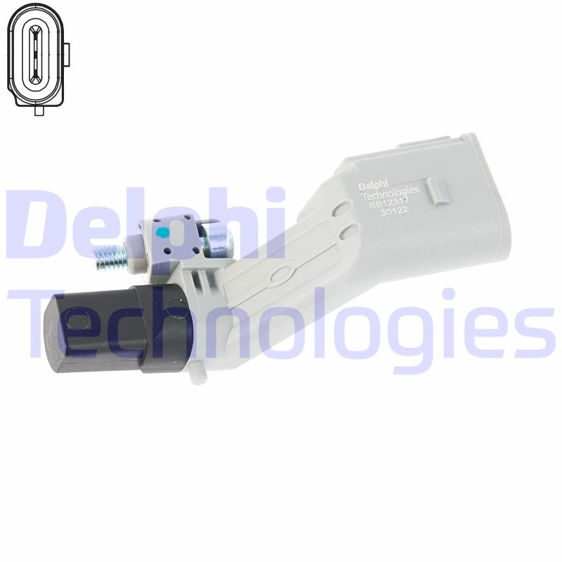Delphi Diesel Krukas positiesensor SS12317-12B1