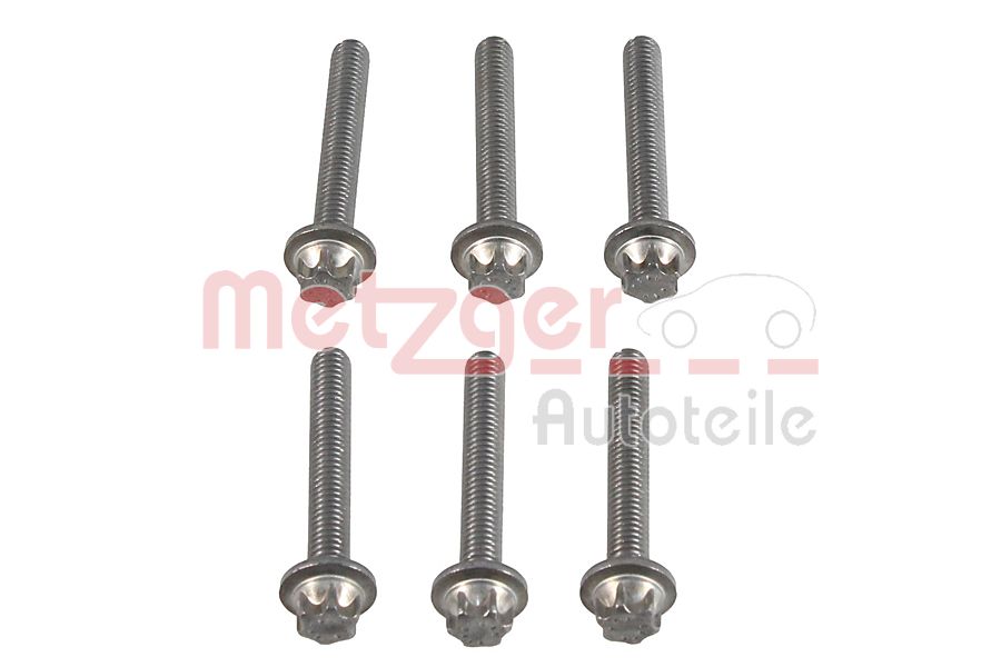 Metzger Afsluitschroef versnellingsbakbehuizing 8029033