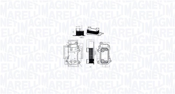 Magneti Marelli Oliekoeler motorolie 350300003900