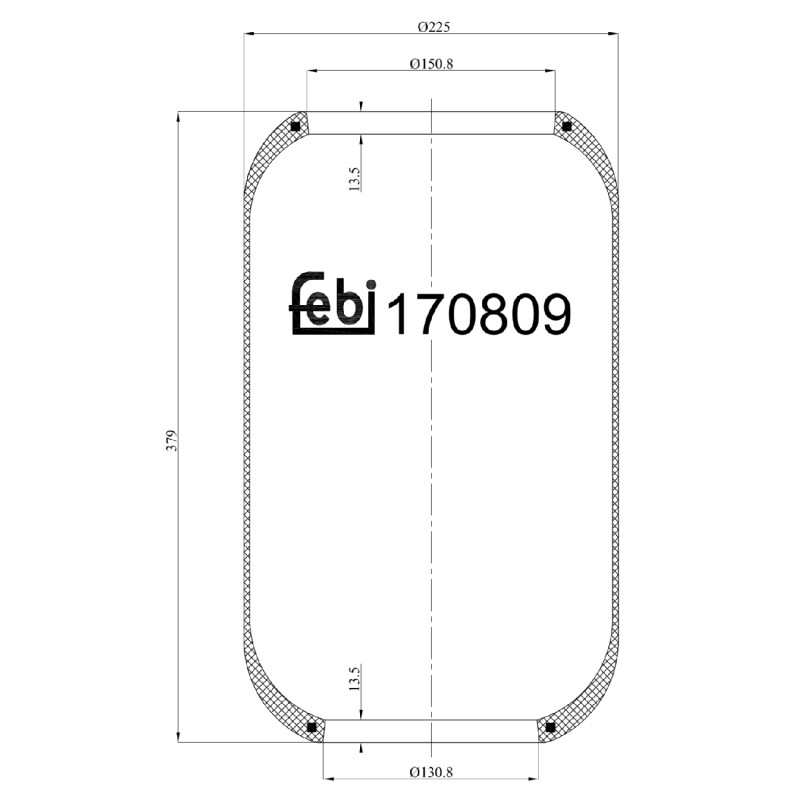 Febi Bilstein Veerbalg 170809