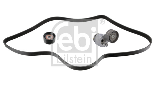 Febi Bilstein Poly V-riem set 184865