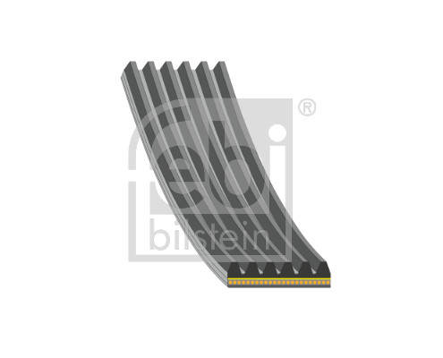 Febi Bilstein Poly V-riem 192784
