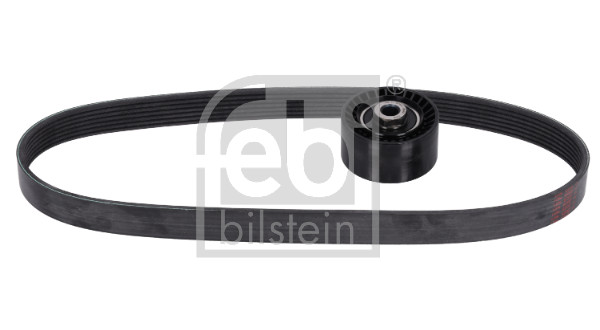 Febi Bilstein Poly V-riem set 193753