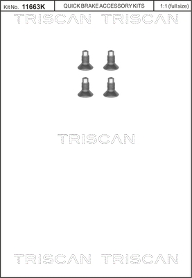 Triscan Remschijfschroef 8105 116004
