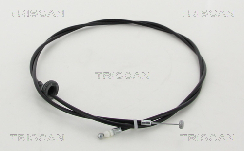Triscan Motorkapkabel 8140 21601
