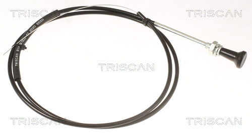 Triscan Carburateur 8140 91002