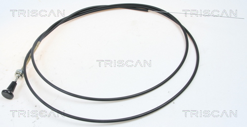 Triscan Carburateur 8140 91003