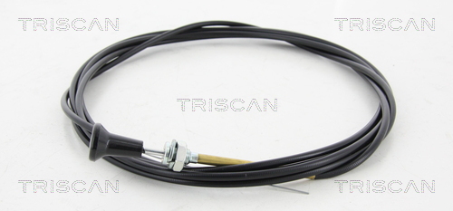 Triscan Carburateur 8140 91005