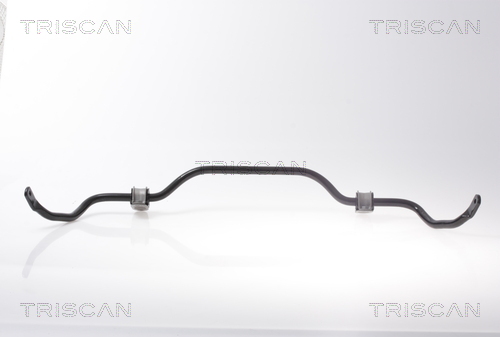 Triscan Stabilisator, chassis 8500 10660