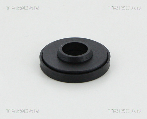 Triscan Veerpootlager & rubber 8500 10937