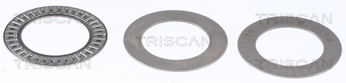Triscan Veerpootlager & rubber 8500 24925