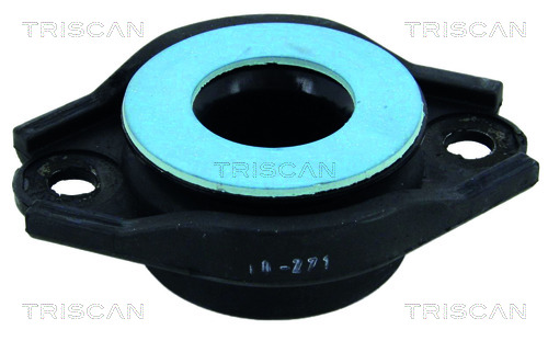 Triscan Veerpootlager & rubber 8500 27907