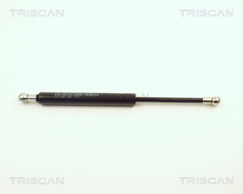 Triscan Gasveer, kofferruimte 8710 1010