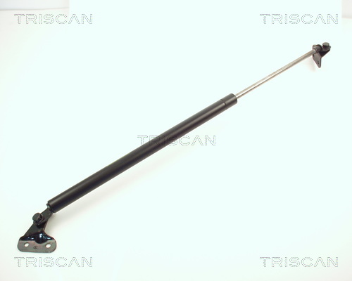 Triscan Gasveer, kofferruimte 8710 10201