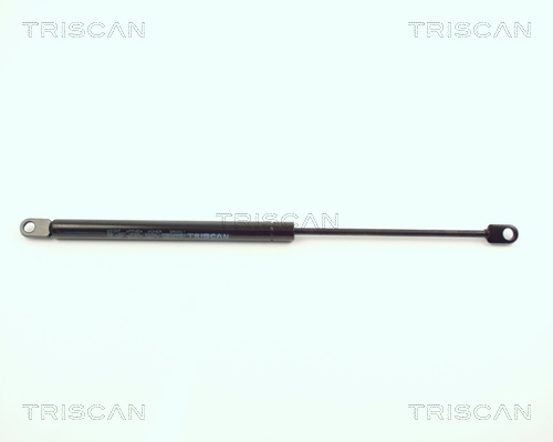 Triscan Gasveer, motorkap 8710 11101