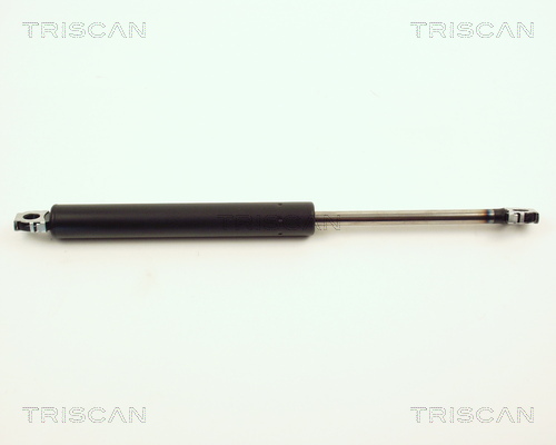 Triscan Gasveer, kofferruimte 8710 11203