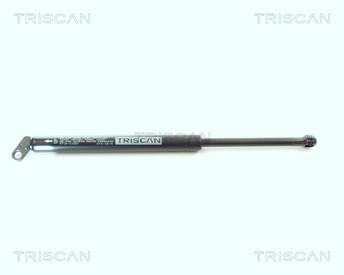 Triscan Gasveer, kofferruimte 8710 11207