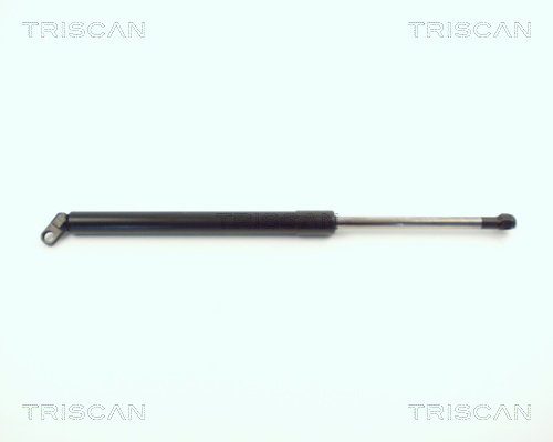 Triscan Gasveer, kofferruimte 8710 11209