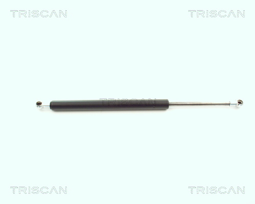 Triscan Gasveer, kofferruimte 8710 11216