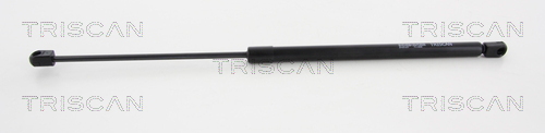 Triscan Gasveer, kofferruimte 8710 11237