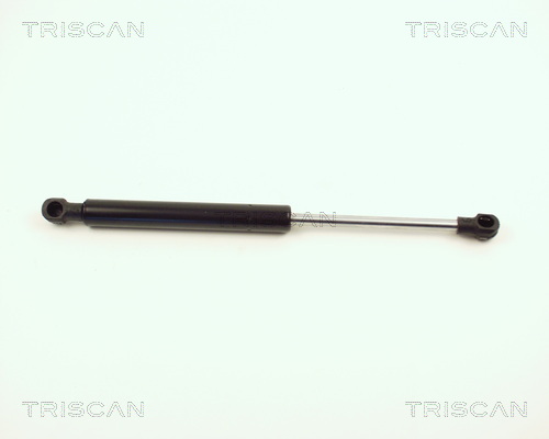 Triscan Gasveer, kofferruimte 8710 12208
