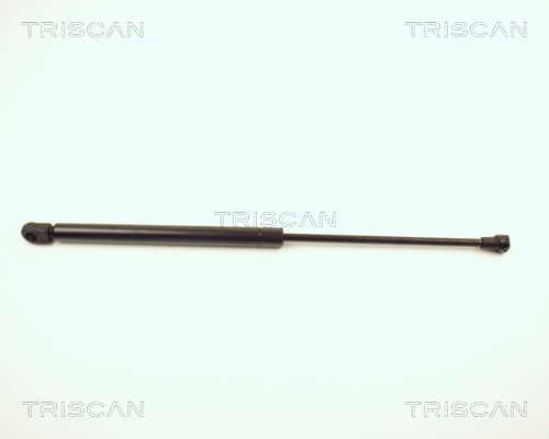 Triscan Gasveer, kofferruimte 8710 12210