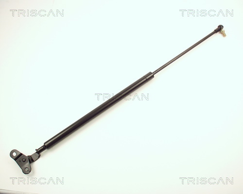 Triscan Gasveer, kofferruimte 8710 13201
