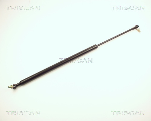 Triscan Gasveer, kofferruimte 8710 13206