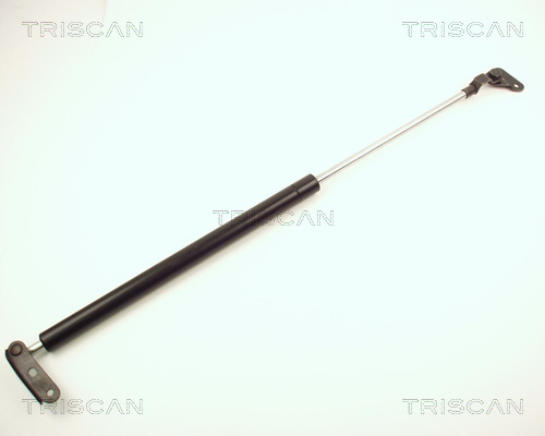 Triscan Gasveer, kofferruimte 8710 13237