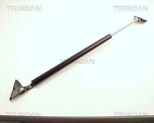 Triscan Gasveer, kofferruimte 8710 13240