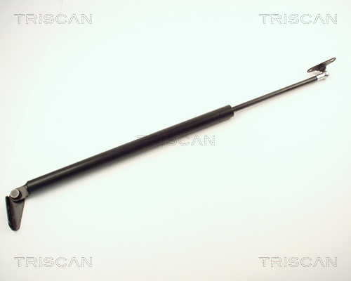 Triscan Gasveer, kofferruimte 8710 13244
