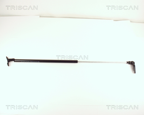 Triscan Gasveer, kofferruimte 8710 14224