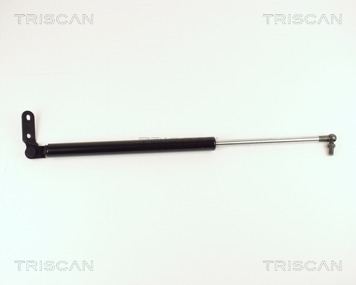 Triscan Gasveer, kofferruimte 8710 14225