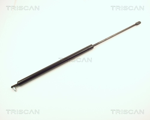 Triscan Gasveer, kofferruimte 8710 1501