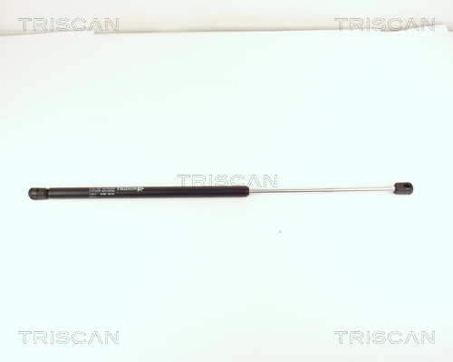 Triscan Gasveer, kofferruimte 8710 15201