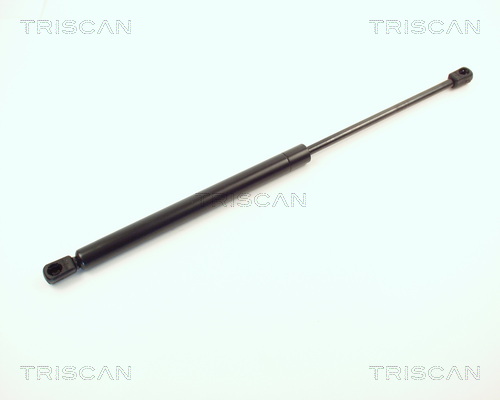Triscan Gasveer, kofferruimte 8710 1608