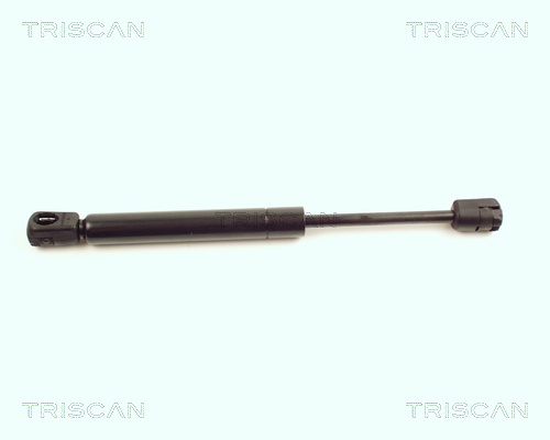 Triscan Gasveer, motorkap 8710 16104