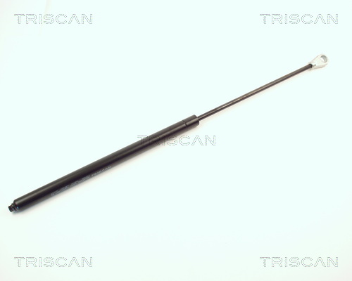 Triscan Gasveer, kofferruimte 8710 1615