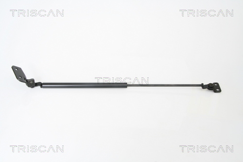 Triscan Gasveer, kofferruimte 8710 18221