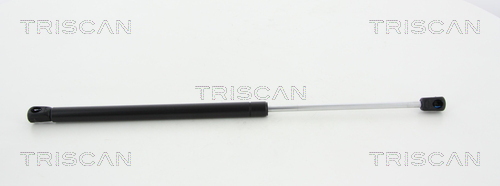 Triscan Gasdemper, Achterruit 8710 18231