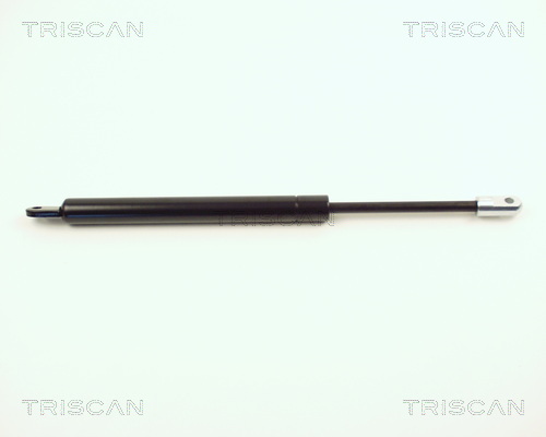 Triscan Gasveer, motorkap 8710 2001