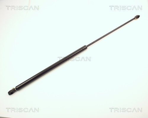 Triscan Gasveer, kofferruimte 8710 2004