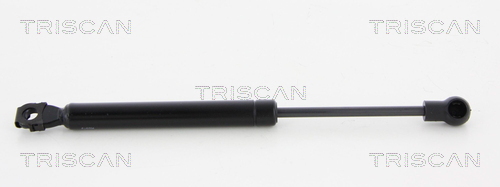 Triscan Gasveer, kofferruimte 8710 23228