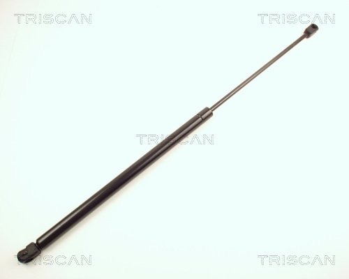 Triscan Gasveer, kofferruimte 8710 24201