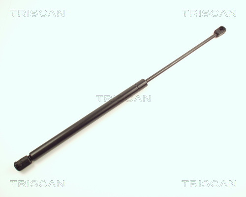 Triscan Gasveer, kofferruimte 8710 25206