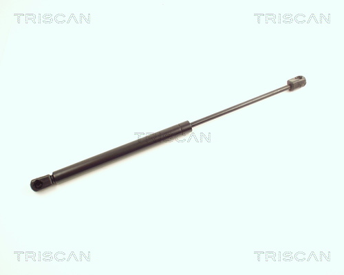 Triscan Gasveer, kofferruimte 8710 25216