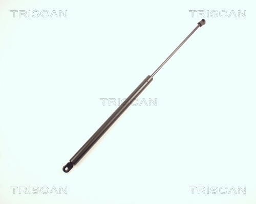 Triscan Gasveer, kofferruimte 8710 27202