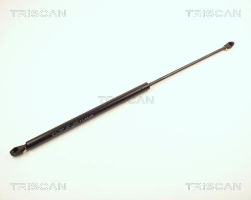 Triscan Gasveer, kofferruimte 8710 2808