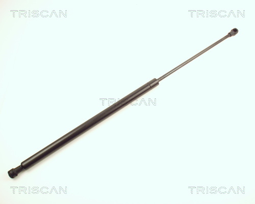 Triscan Gasveer, kofferruimte 8710 28219